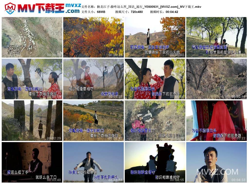 陕北江子-脸咋这么厚_国语_流行_YE600931